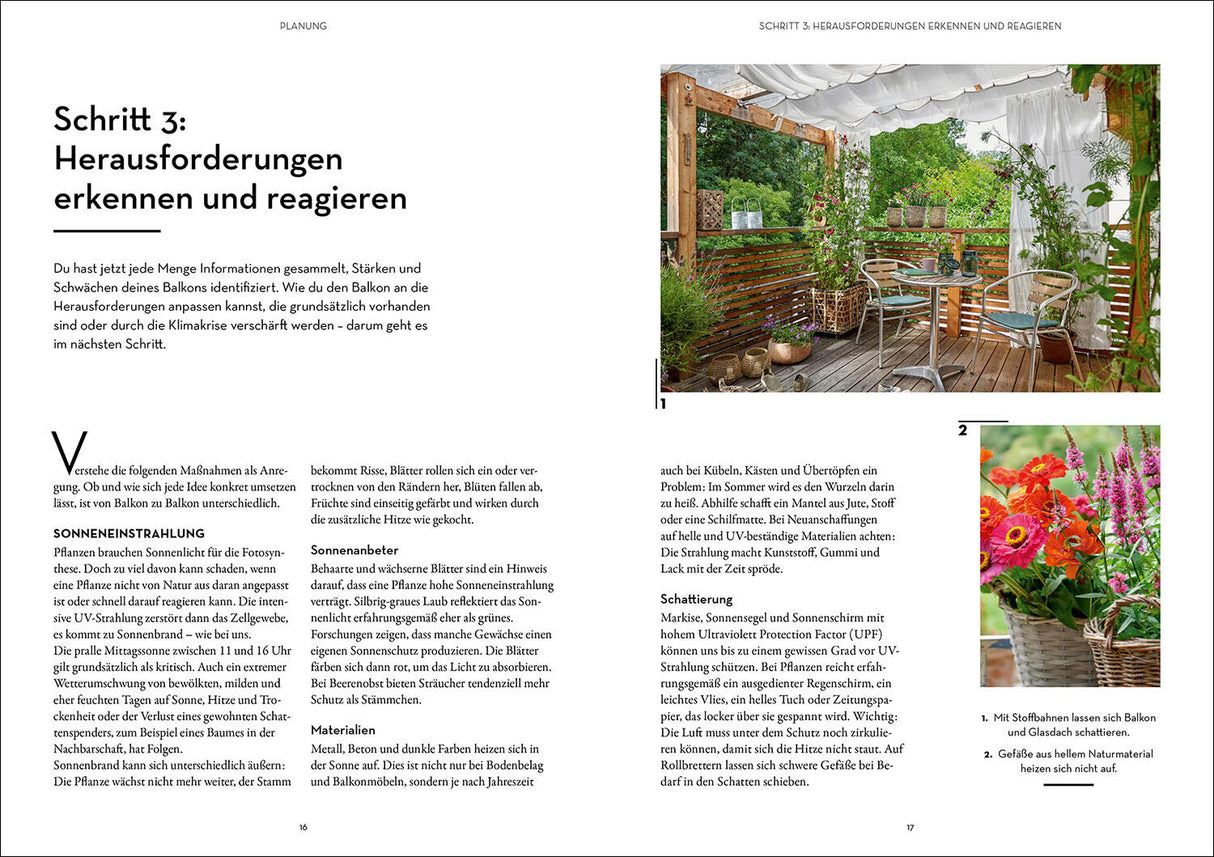 Klimahelden auf dem Balkon.