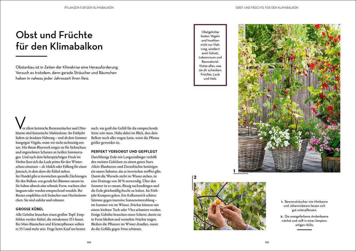 Klimahelden auf dem Balkon.