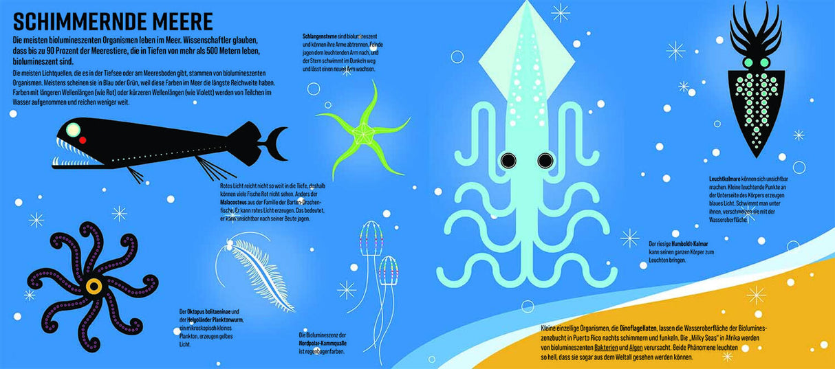 Das XXL-Entdecker-Set – Leuchtende Wunder der Natur.