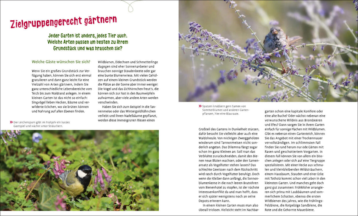Meise mag Melisse.