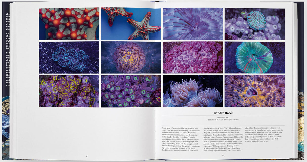 OZEANE - Die Welt der Meere.