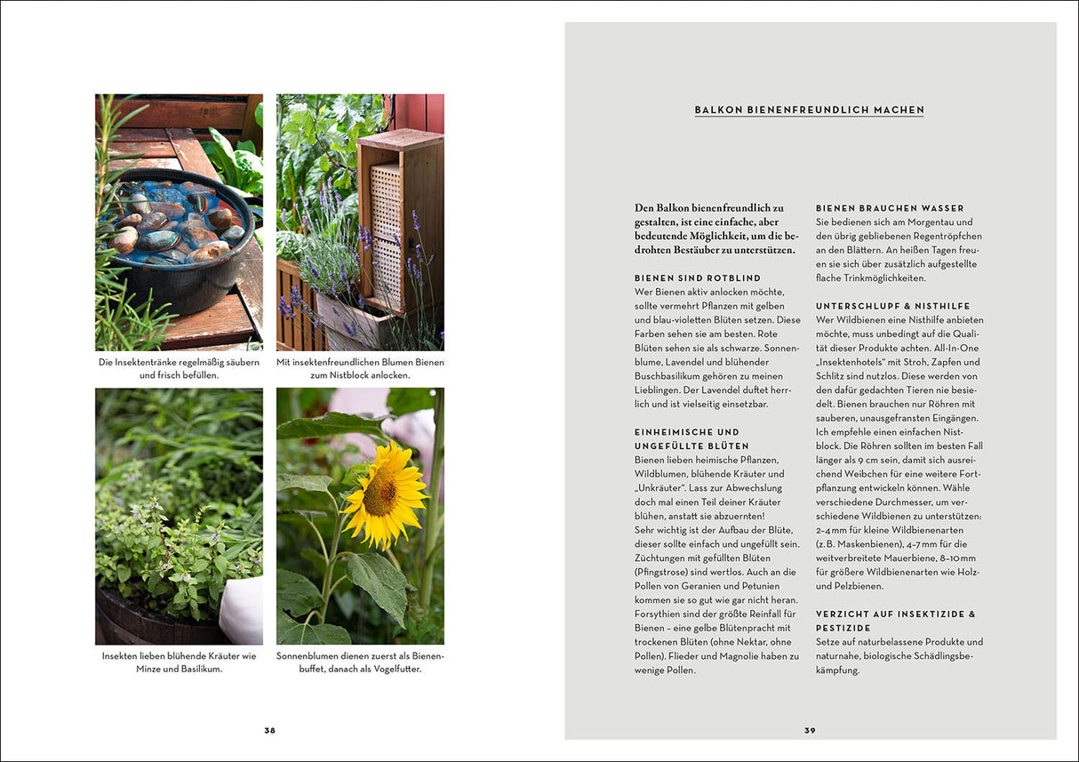 Selbstversorgung aus dem Balkon-Hochbeet.