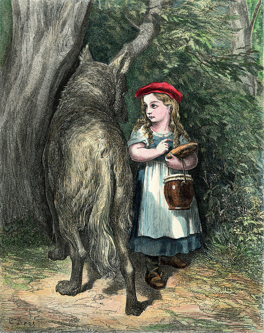 Deutschlands wilde Wölfe.