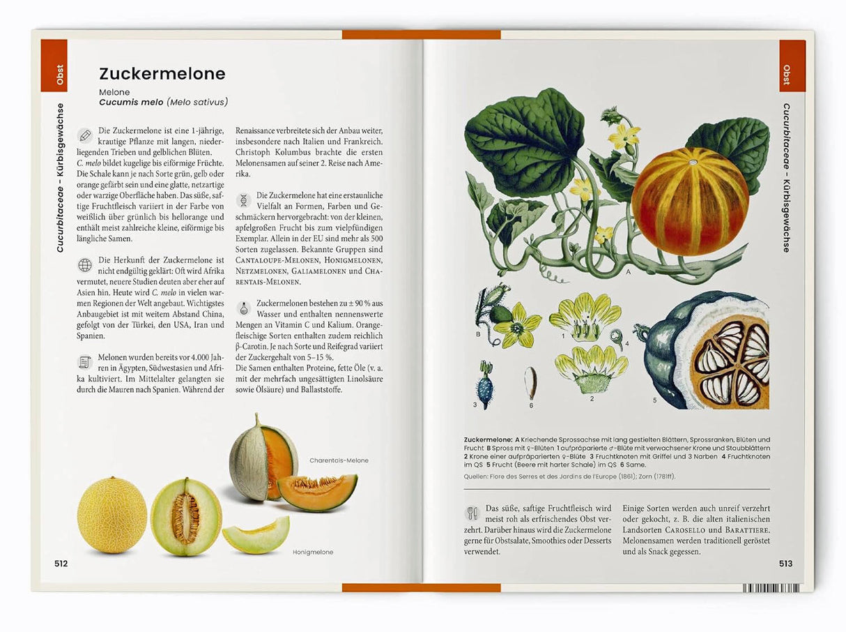 Dr. Oliver Tackenberg: Was wir essen.