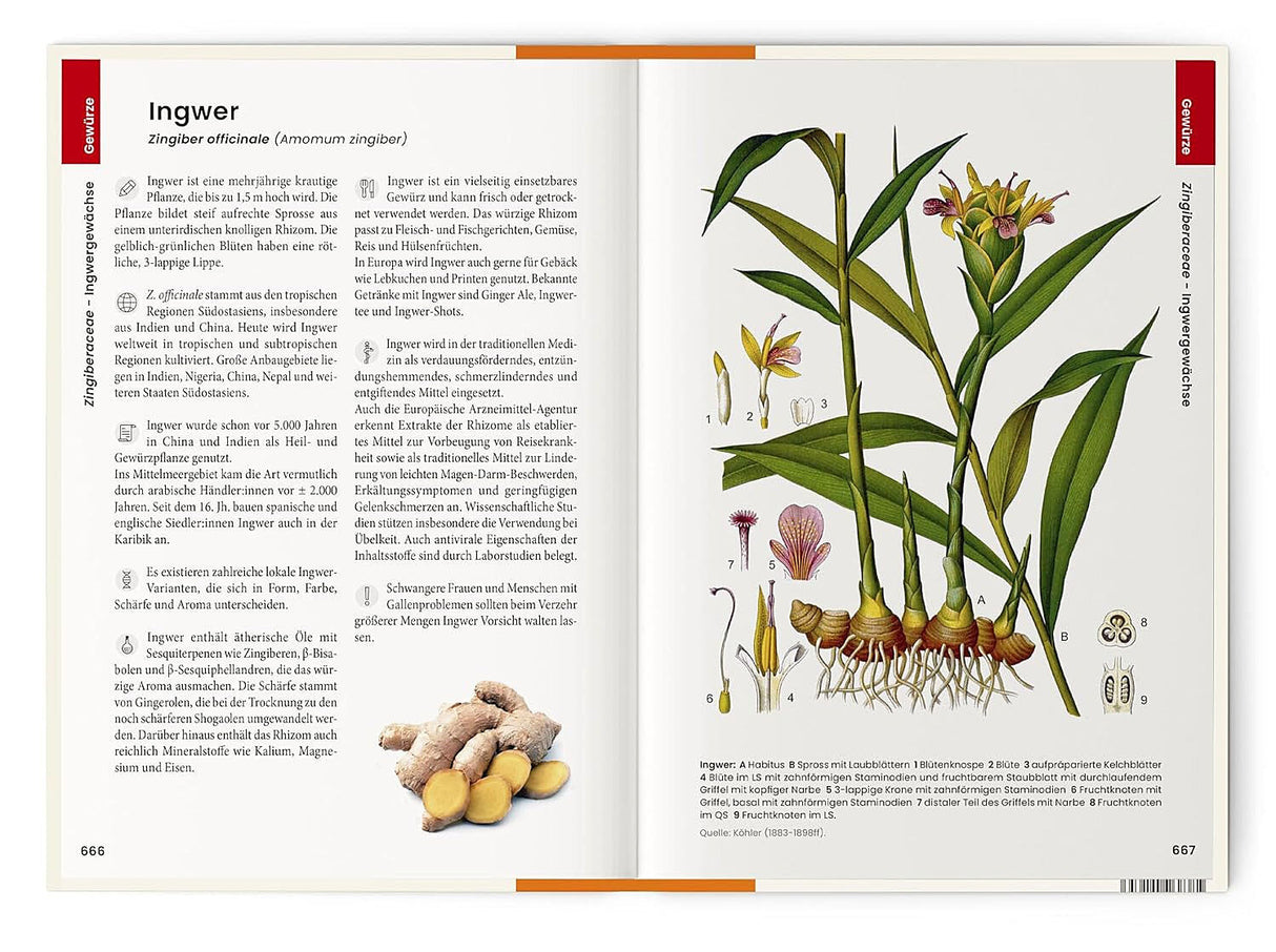 Dr. Oliver Tackenberg: Was wir essen.