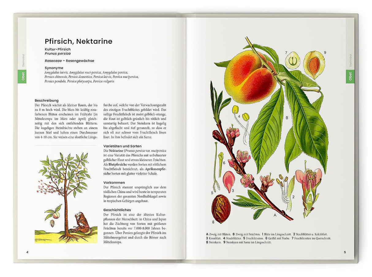 Dr. Oliver Tackenberg: Was wir essen.