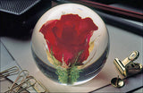 Glasball mit roter Rose und grünen Zweigen, umgeben von Büroklammern und Klammern auf einem Schreibtisch.