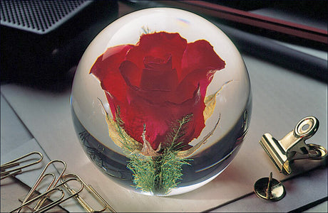 Glasball mit roter Rose und grünen Zweigen, umgeben von Büroklammern und Klammern auf einem Schreibtisch.