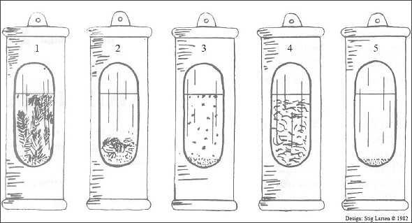 Fünf durchsichtige Röhrchen mit verschiedenen Pflanzen- und Wasserproben, nummeriert 1 bis 5.