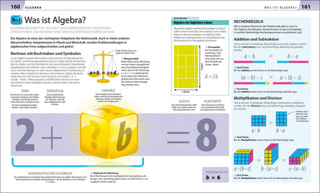Zwei gelbe Würfel mit Fragezeichen, eine Gleichung 2 + ? b = 8, und die Lösung b = 6.