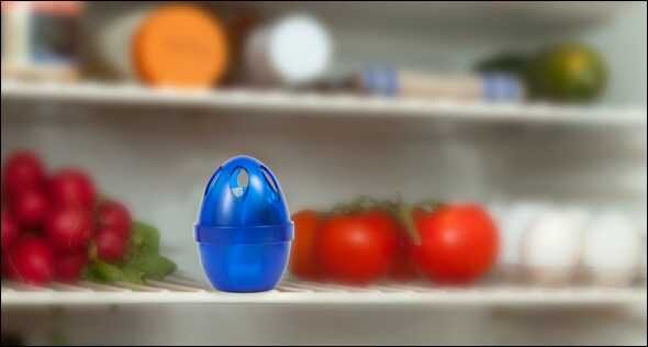 Blaue Eierbox auf einer Kühlschranktür mit Tomaten, Radieschen und anderen Lebensmitteln im Hintergrund.