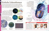 Diagramm und Text über Lebewesen, Bakterien, Zellaufbau, Bakterientypen und Krankheiten.