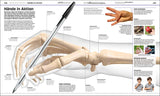 Hand mit Stift, anatomisch dargestellt, zeigt die Knochen und Gelenke der Finger und des Handgelenks.