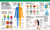 Grafik zeigt den Wasserhaushalt des Körpers, Wasseranteil, Funktionen und Bedeutung für Gesundheit.