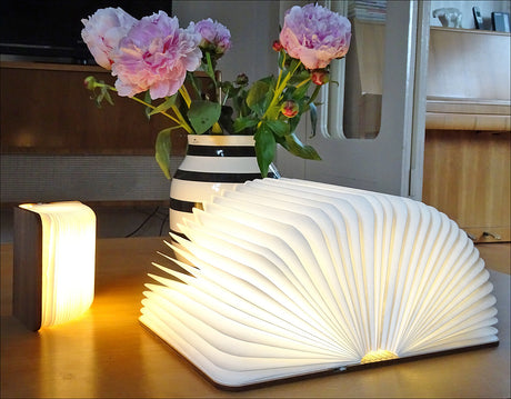 Offenes Buch-Lampe, Blumenstrauß in schwarz-weißem Vase, kleines rechteckiges Licht auf Holz.