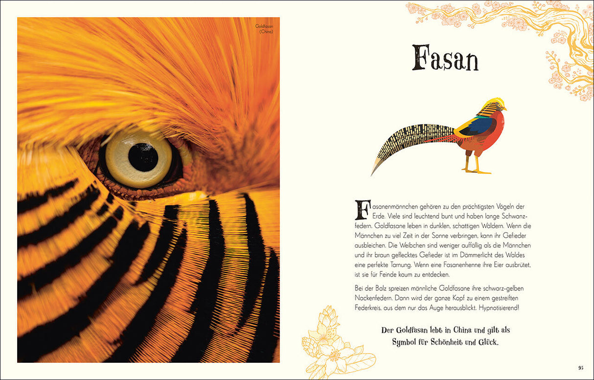 Seitenlayout mit Nahaufnahme eines goldenen Vogels, links, und Text über den Goldfasen, rechts.