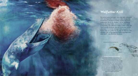 Illustration eines Wals unter Wasser, der Wasser spritzt, mit Text auf der rechten Seite.