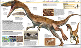 Skelett eines Coelophysis, an einer Fundstelle bei Ghost Ranch, New Mexico, gefunden.