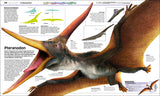 Pteranodon mit langem Schnabel, Flügelspannweite bis 6 m, lebte vor 88-81 Mio. Jahren, ernährte sich von Fischen.