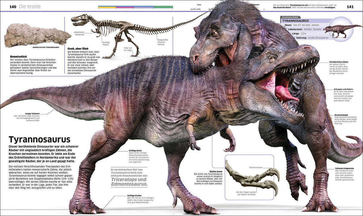 Zwei kämpfende Tyrannosaurus Rex mit geöffneten Mäulern, Zähnen sichtbar, auf grauem Boden.