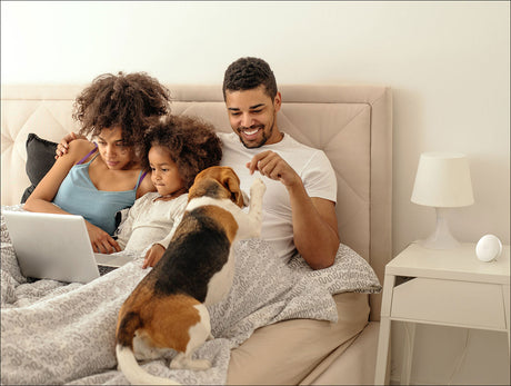 Familie mit zwei Kindern und Hund sitzt im Bett, schaut auf Laptop, Hund spielt mit Kind.