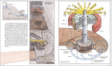 Technische Zeichnung einer Wasserkraftanlage mit Turbine, Generator, Magneten und Wasserleitung.