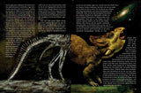 Dinosaurier-Skelett und Echsenkopf auf einer Doppelseite mit Text über Fossilien und das Universum.
