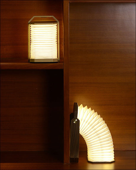 Zwei Lampen, eine auf einem Regal und eine auf dem Boden, beide mit gebogenen, weißen Schirm.