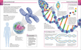 Illustration eines menschlichen Chromosoms, DNA-Stränge, DNA-Doppelhelix, Gene, Proteinbiosynthese, Text und Diagramme.