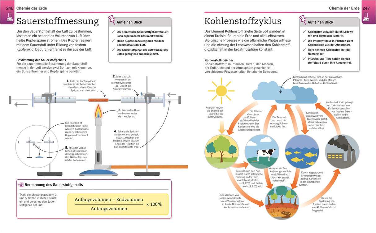 Zwei Seiten einer Infografik: Links Sauerstoffmessung, rechts Kohlenstoffkreislauf mit Pflanzen, Tieren und Atmosphäre.