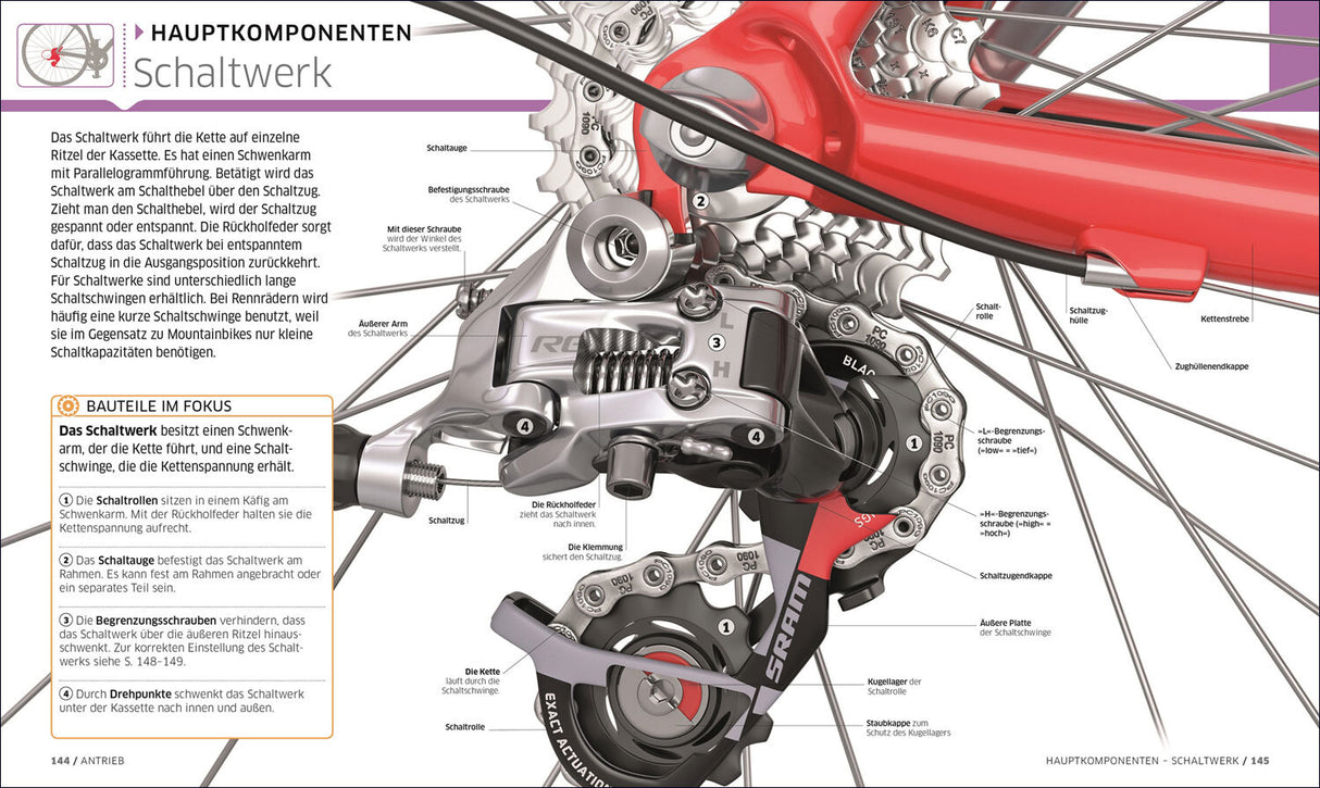 Detaillierte Abbildung eines Fahrrad-Schaltwerks mit Beschriftungen der Komponenten und Funktionsbeschreibung.