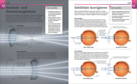 Diagramm mit Text und Illustrationen zu Sammel- und Zerstreuungslinsen, deren Funktion und Korrektur von Sehfehlern.