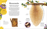 Illustration einer Bienenwabe, mit Texten zu Aufbau, Funktion und Entwicklung der Waben.