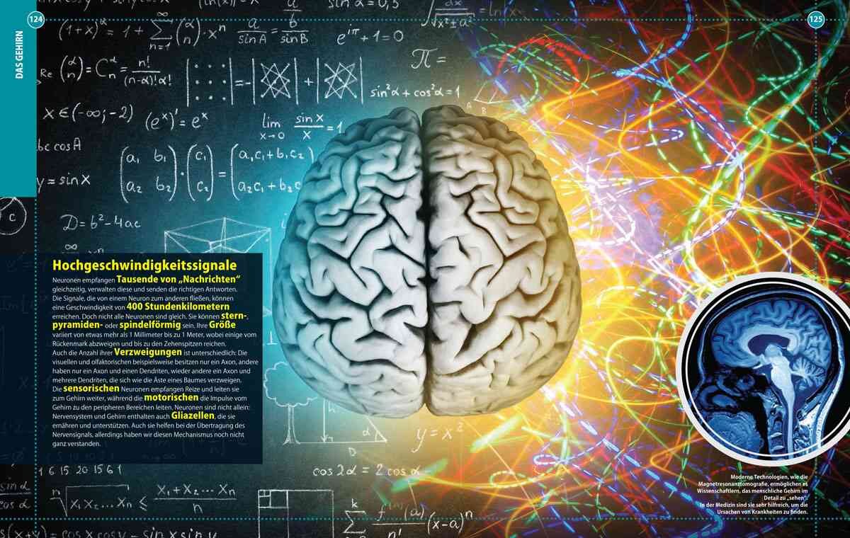 Hirn mit bunten, leuchtenden Linien und mathematischen Formeln im Hintergrund, daneben ein MRI-Bild des Gehirns.