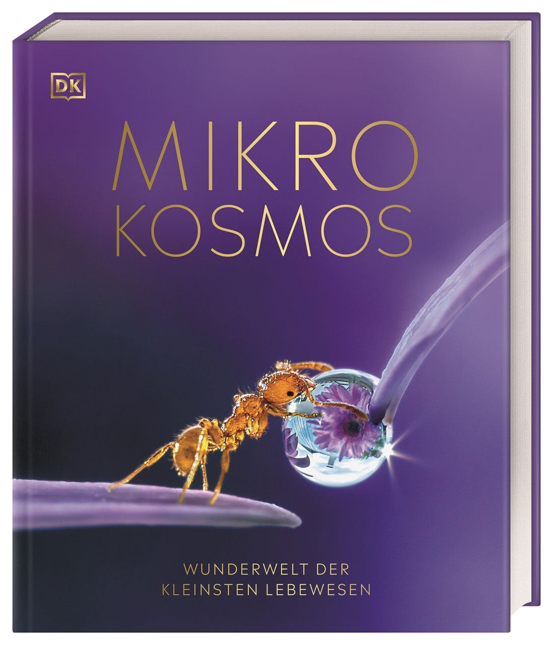 Mikrokosmos - Wunderwelt der kleinsten Lebewesen.
