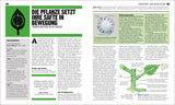 Illustration eines Phloemgewebes mit Beschriftungen und einem schematischen Ablauf der Safttransportation in Pflanzen.