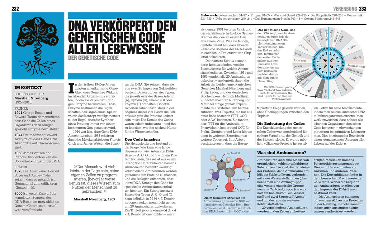 Illustration eines DNA-Doppelhelix mit Beschriftungen und einem Diagramm zur genetischen Codierung.