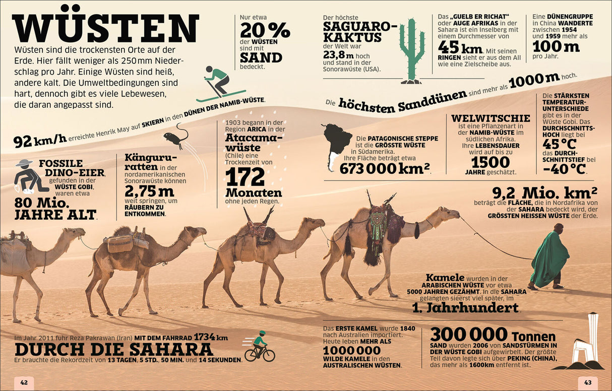 Wüste mit Sand bedeckt, Kamel mit Person, Textinformationen zu Wüsten, Sand, Kamele und Wüstenforschung.