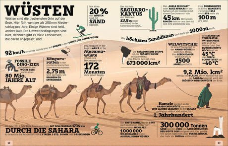 Wüste mit Sand bedeckt, Kamel mit Person, Textinformationen zu Wüsten, Sand, Kamele und Wüstenforschung.