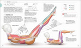 Detaillierte Illustration einer Pilates-Übung mit Muskel- und Gelenkmarkierungen, Textanweisungen und Legende.