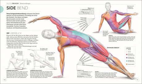 Mensch in seitlicher Yoga-Position, mit farblich markierten Muskeln, Knochen und Gelenken, inklusive Anleitungen