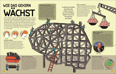 Illustration eines Gehirns als Bauwerk, mit Arbeitern, die es bauen, und Text über Gehirnentwicklung und Funktionen.