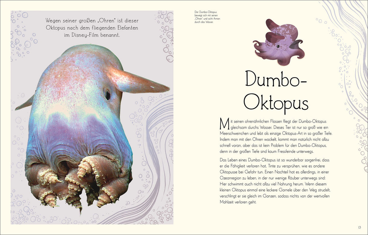 Dumbo-Oktopus, ein kleiner Tintenfisch mit großen Ohren, schwimmt im Wasser, mit Text über seine Eigenschaften.