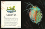 Text und Illustration eines Wasserflohs, mit Beschreibung seiner Lebensweise und Eigenschaften.
