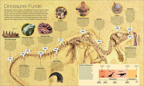 Skelett eines Dinosauriers mit Beschriftungen zu Fundjahren, Theorien und Zeitaltern, sowie Bilder von Fossilien und Knochen.