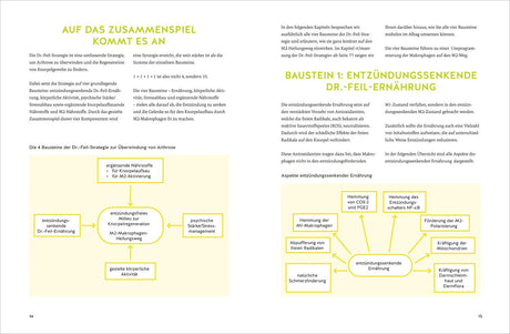 Zwei Doppelseiten mit Text, Diagrammen und Überschriften in Grün und Gelb, zum Thema Dr.-Feil-Strategie gegen Arthrose.