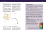 Schematische Darstellung eines Neurons mit Zellkörper, Dendriten, Axon, Myelinscheide, Endknöpfchen und Zellmembran.
