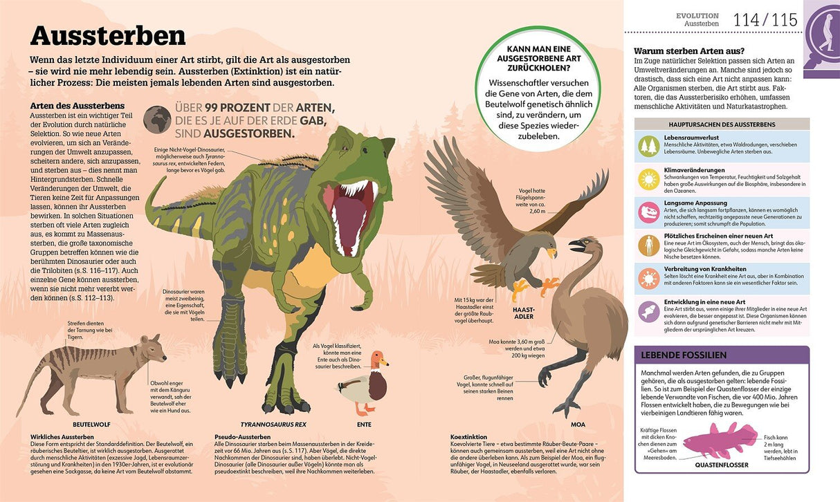 Illustration verschiedener ausgestorbener Tierarten, darunter Tyrannosaurus rex, Beutelschwein, Ente, Moa und Haastadler.