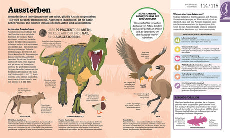 Illustration verschiedener ausgestorbener Tierarten, darunter Tyrannosaurus rex, Beutelschwein, Ente, Moa und Haastadler.