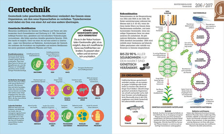 Diagramm zur Gentechnik mit Ablauf von Genmodifikation bei Menschen, Pflanzen und Bakterien